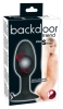  Artikelbild 1 des Artikels “Backdoor Friend Small “