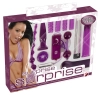  Artikelbild 1 des Artikels “Surprise Surprise Lovetoyset “