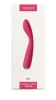  Artikelbild 1 des Artikels “Iris Plum Red “