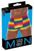 Artikelbild 1 des Artikels “Herren Pants Rainbow “
