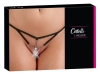 Artikelbild 1 des Artikels “String Seestern “