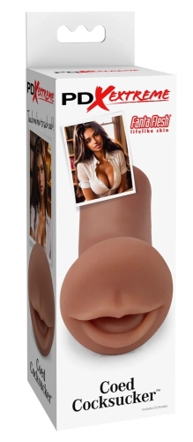 Artikelbild des Artikels “PDXE Coed Cocksucker Brown “