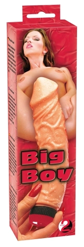 Artikelbild des Artikels “Vibrator 