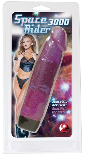 Artikelbild des Artikels “Space Rider 3000 “