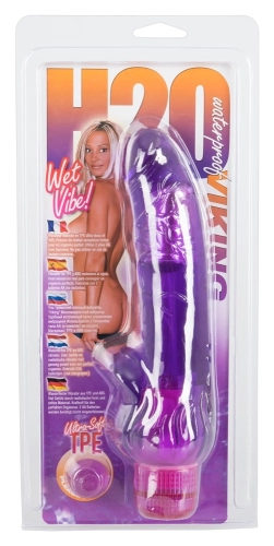 Artikelbild des Artikels “H2O Viking Wet Vibe “