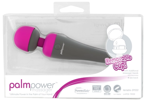 Artikelbild des Artikels “palmpower Massager “