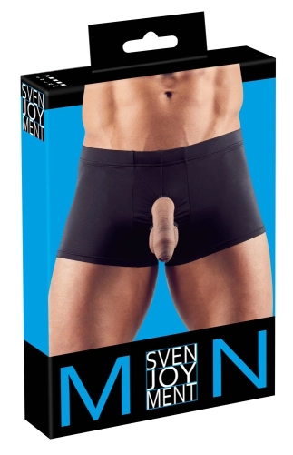 Artikelbild des Artikels “Herren Pants “