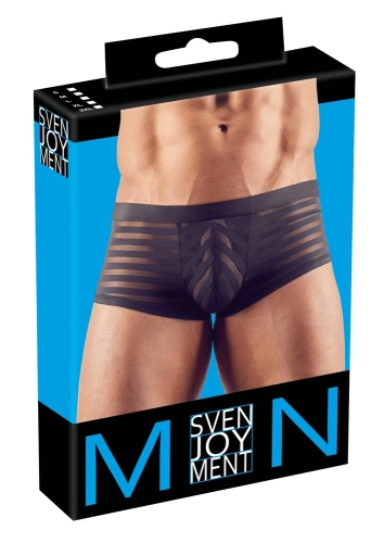 Artikelbild des Artikels “Herren Pants “