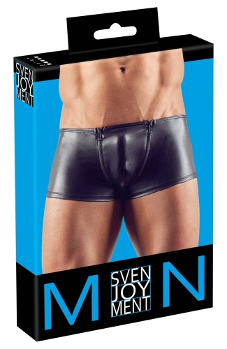 Artikelbild des Artikels “Herren Pants “