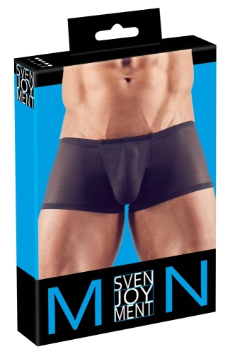 Artikelbild des Artikels “Herren Pants “