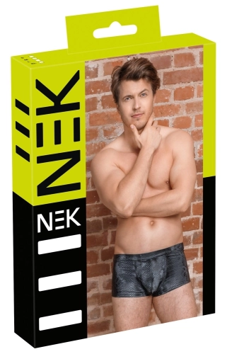 Artikelbild des Artikels “Herren Pants “