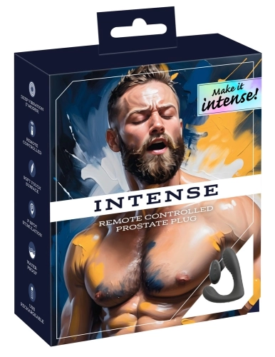 Artikelbild des Artikels “Intense RC Prostate Plug “