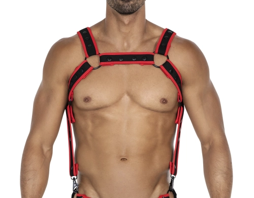 Artikelbild des Artikels “C4M NEO Harness Red OS “