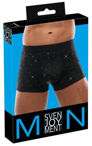 Artikelbild des Artikels “Herren Pants “