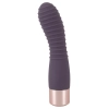  Artikelbild 2 des Artikels “Elegant Vibrator Flexy Vibe “