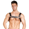  Artikelbild 2 des Artikels “Leder Herren Brustharness “