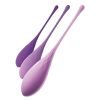  Artikelbild 3 des Artikels “FFH Kegel Train-Her Set “