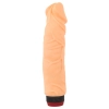  Artikelbild 3 des Artikels “Vibrator 