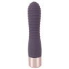  Artikelbild 3 des Artikels “Elegant Vibrator Flexy Vibe “