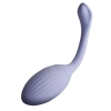  Artikelbild 3 des Artikels “NIYA 1 “