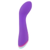  Artikelbild 4 des Artikels “bunt. g-spot vibrator “