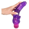  Artikelbild 4 des Artikels “H2O Viking Wet Vibe “