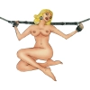 Artikelbild 5 des Artikels “Fessel-Set 