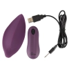  Artikelbild 5 des Artikels “Sweet Smile RC Panty Vibrator “