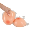  Artikelbild 5 des Artikels “Brüste mit Halter “