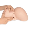  Artikelbild 5 des Artikels “SilexD Daphne Ass Masturbator “