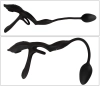  Artikelbild 5 des Artikels “Couples Choice RC Multi Functional “