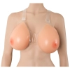  Artikelbild 6 des Artikels “Brüste mit Halter “
