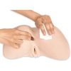 Artikelbild 6 des Artikels “SilexD Daphne Ass Masturbator “