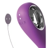  Artikelbild 6 des Artikels “FFH Her Ultimate Pleasure Pro “
