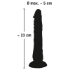  Artikelbild 7 des Artikels “European Lover small “
