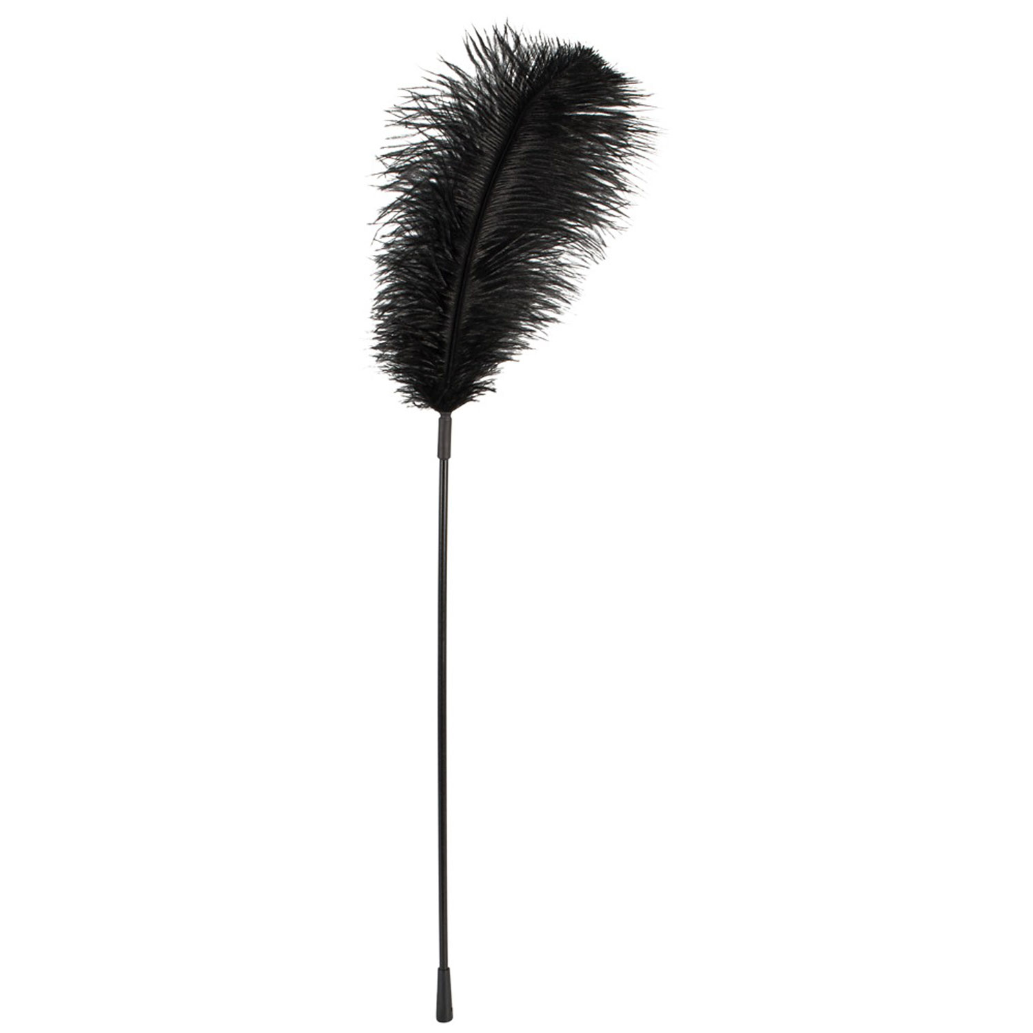  Artikelbild 1 des Artikels “Feder schwarz “