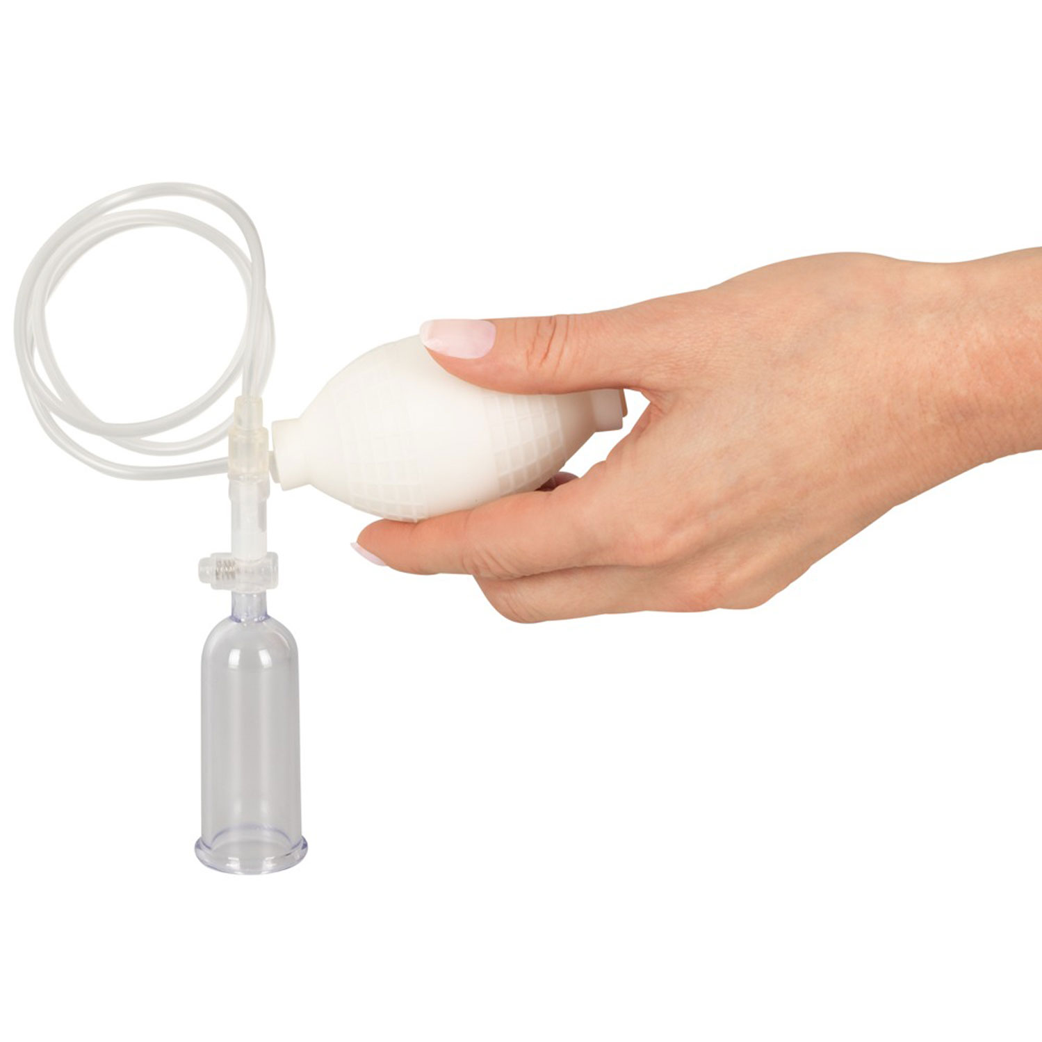  Artikelbild 5 des Artikels “Crystal Clear Multisucker “