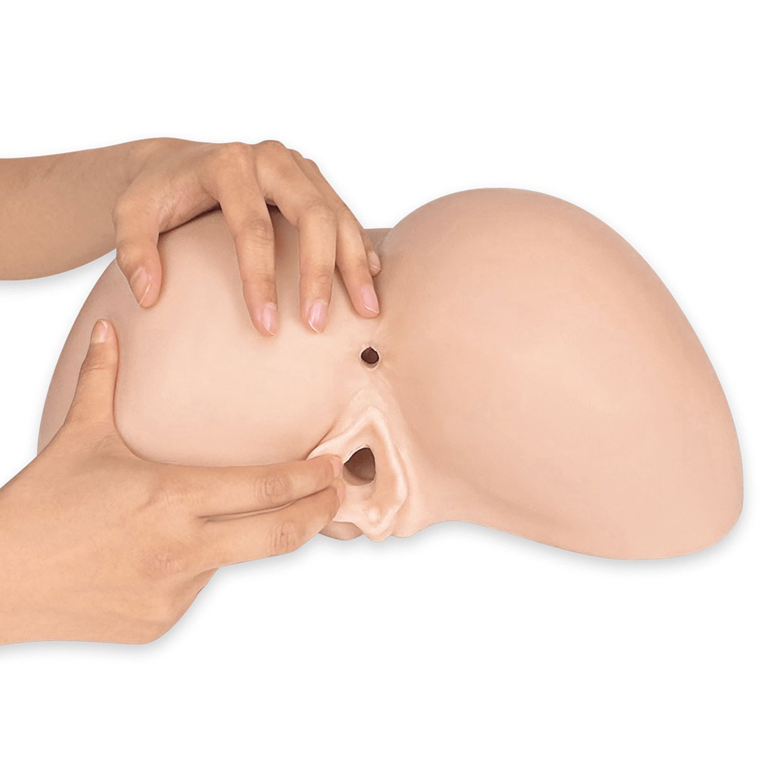 Artikelbild 5 des Artikels “SilexD Daphne Ass Masturbator “