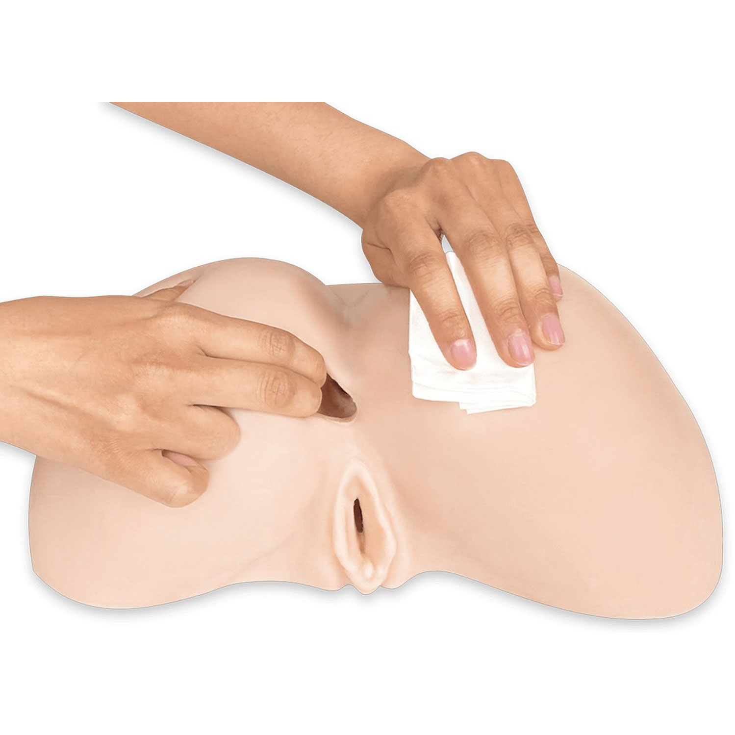  Artikelbild 6 des Artikels “SilexD Daphne Ass Masturbator “