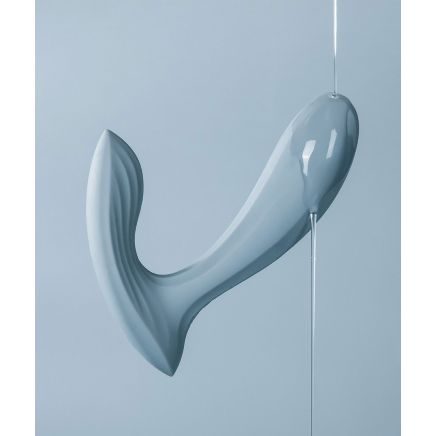  Artikelbild 7 des Artikels “Erica Dusty Blue “